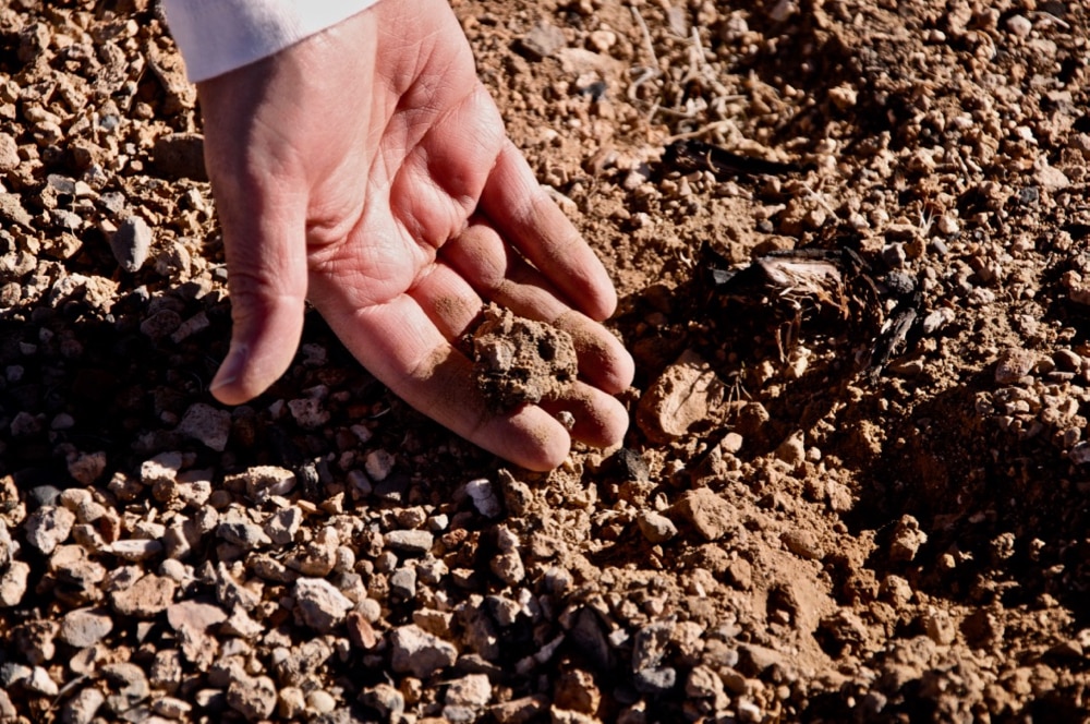Researcher examines soils in a burned area near Las Vegas. 