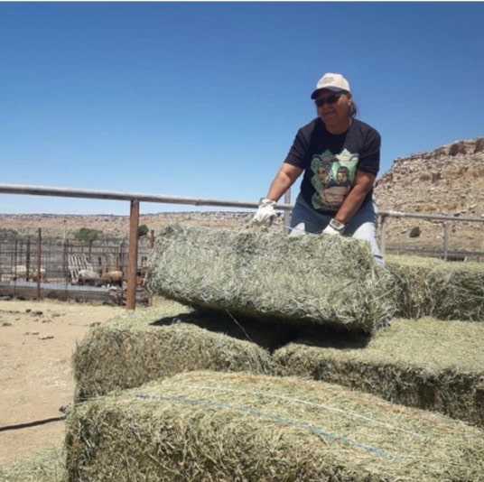 Linked image: Pam Lalo, Hopi Veterinarian Technician, unloads hay bales after a hay delivery on June 27, 2020. Link will take you to the full story. 