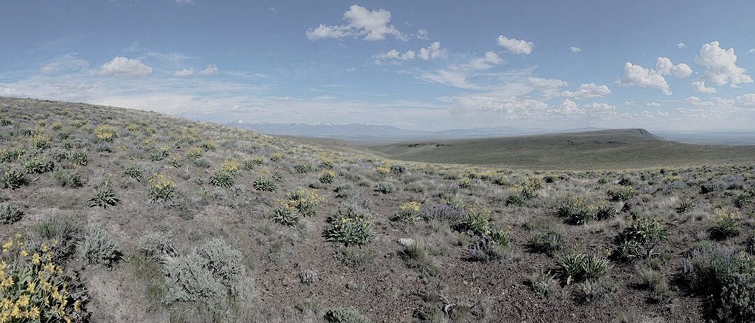 Climate Engine Launches New Website to Facilitate Drought and Vegetation Monitoring