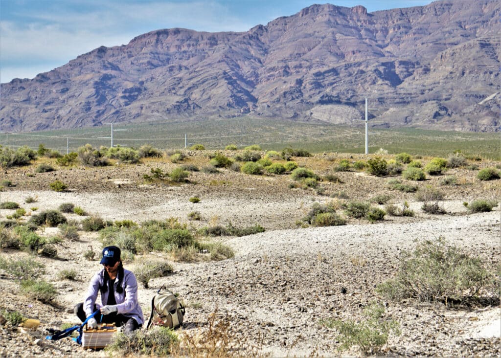 Tiffany Pereira works at Tule Springs