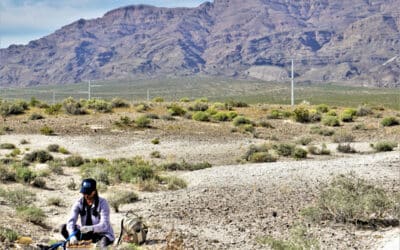 Meet Tiffany Pereira, M.S.