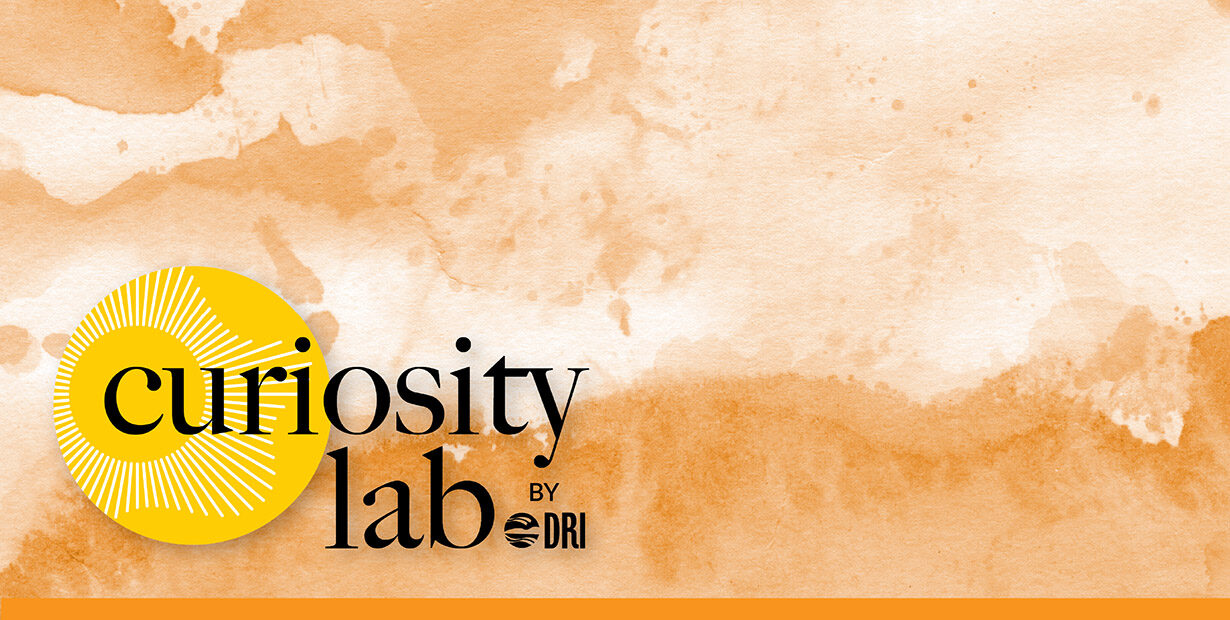 Curiosity Lab by DRI sunburst logo over an image of an abstract orange watercolor landscape.