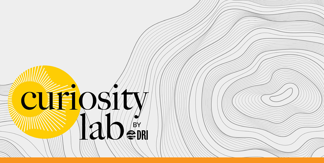 Curiosity Lab by DRI sunburst logo over an image of greyscale lines to resemble a topographical map that indicates elevation changes.