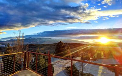 The DRI Foundation Welcomes New Trustees for 2022