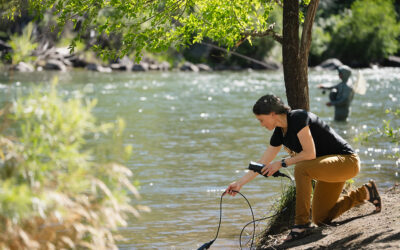 DRI Launches Collaborative New Project Investigating PFAS and Microplastics for Department of Defense 