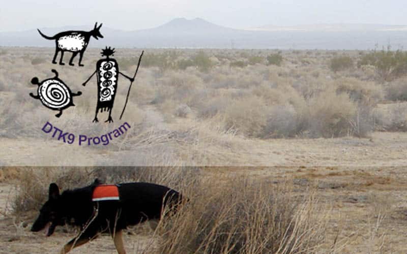 Desert Tortoise K9 Program logo and photo