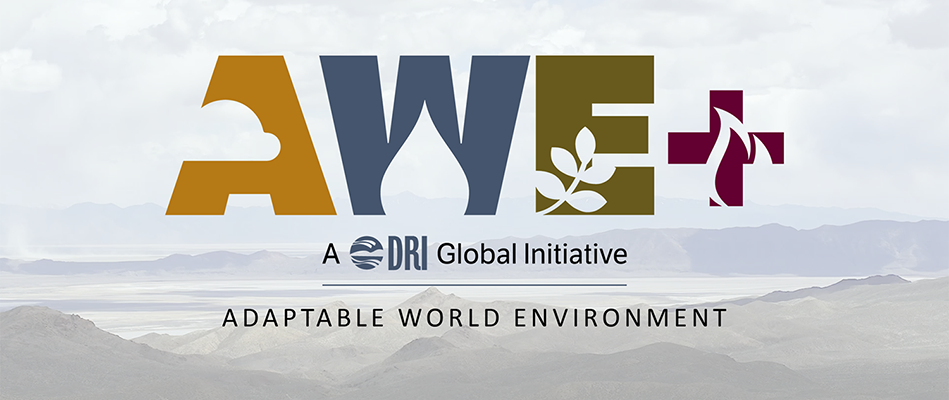 AWE+ A DRI Global Initiative: Adaptable World Environment