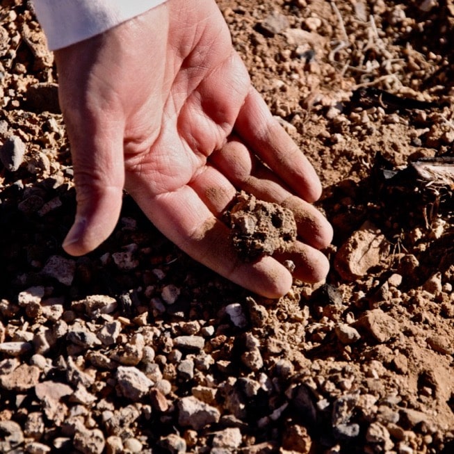 Markus Berli works with soil sample.