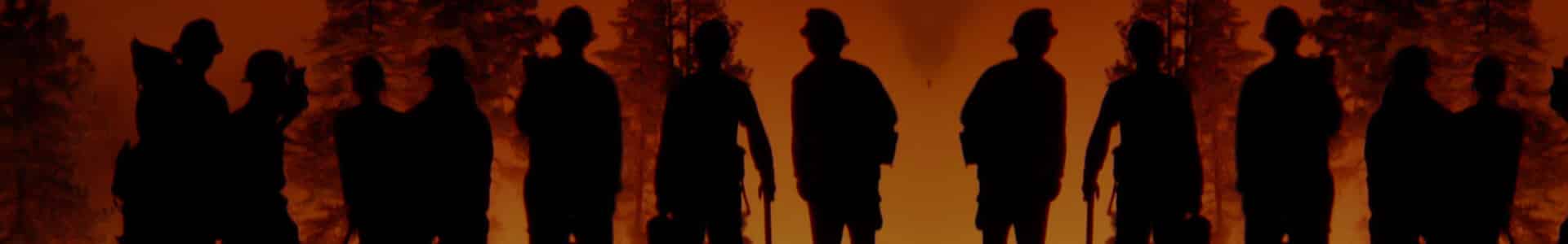 Climate Ecosystem Fire Applications (CEFA)