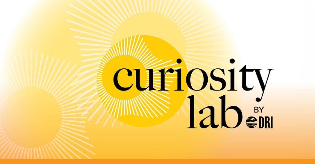 Curiosity Lab logo with yellow sunburst graphics in the background.
