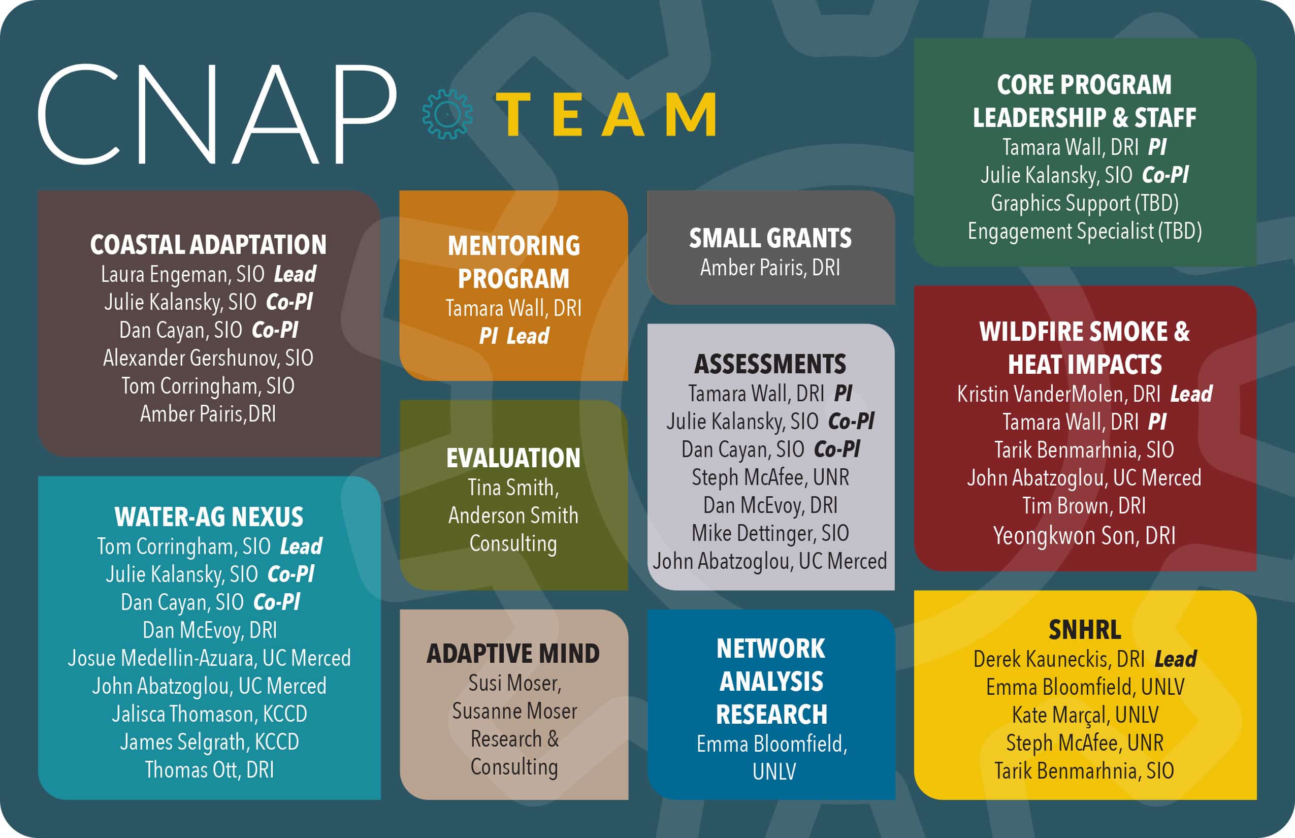 CNAP Team and Structure