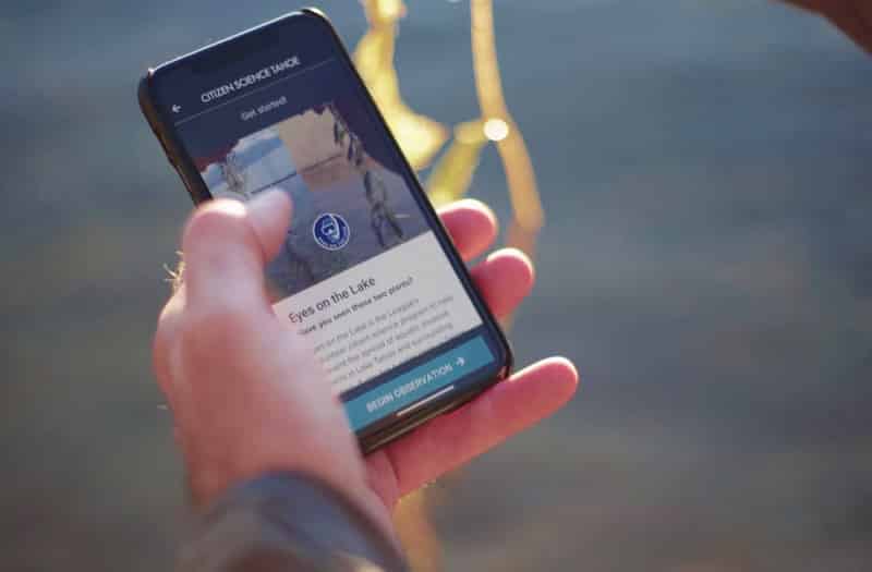 A citizen scientist enters data in the Citizen Science Tahoe smartphone app