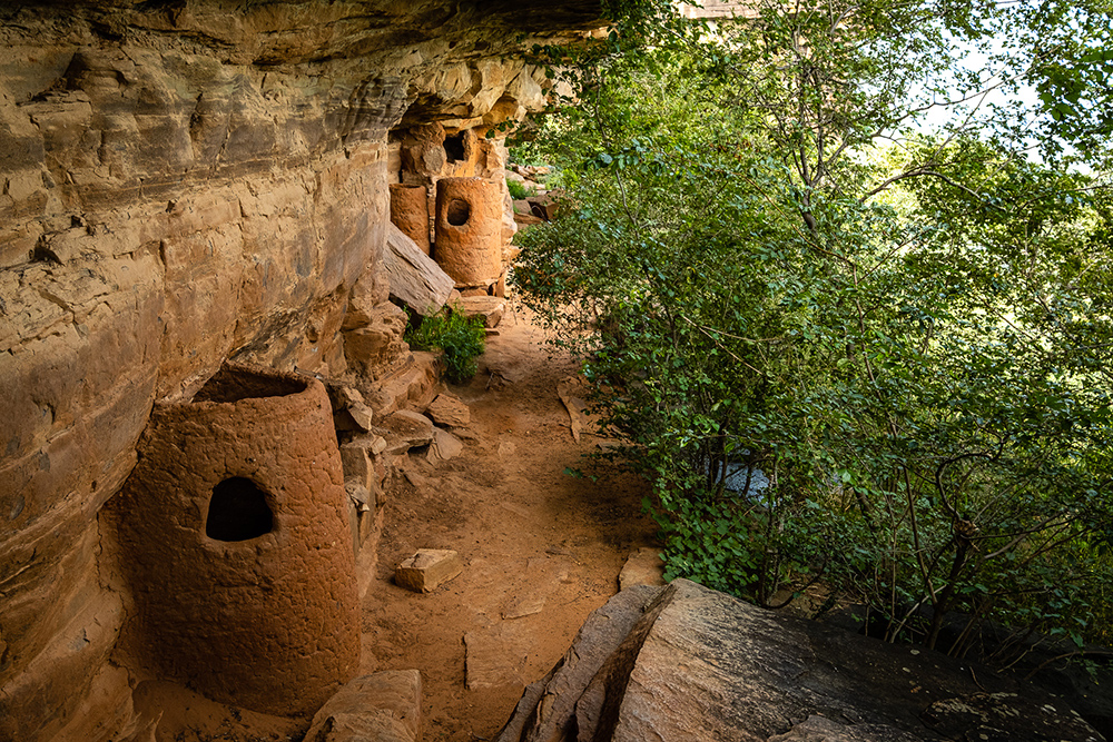 Reddish colored ancient clay dwellings on a cliffside with trees.
