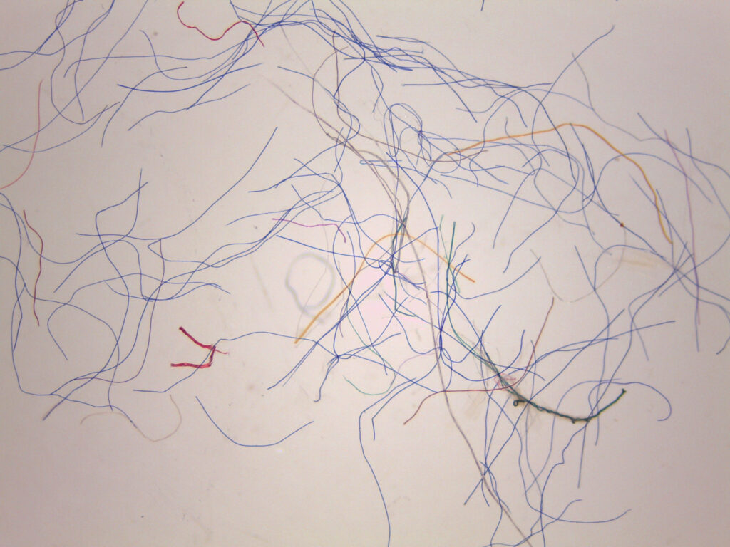 A microscope photo of colorful microfibers.