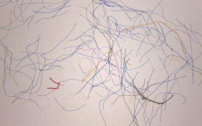 Household Dryers Are Significant Sources of Microfiber Pollution, Study Finds