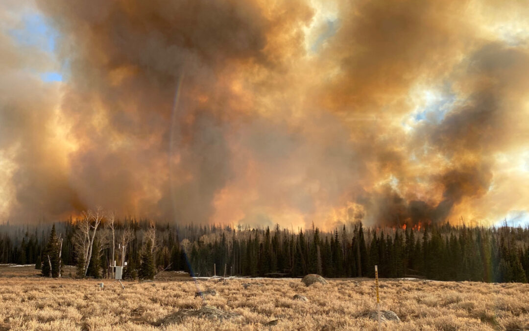 Nevada receives $550,000 to enhance wildfire smoke air quality monitoring technologies, public messaging in rural communities
