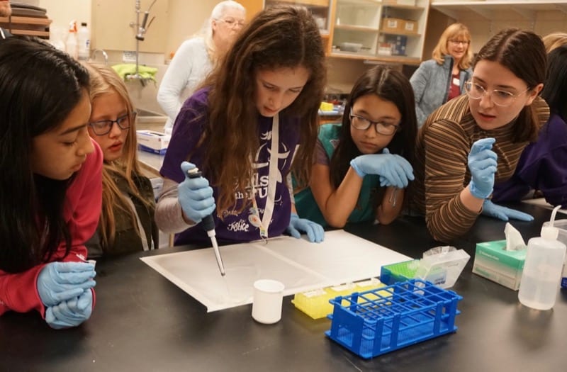 Desert Research Institute to lead Nevada’s new Regional STEM Networks