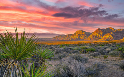 Support Science That Matters Now