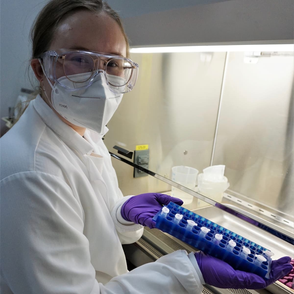 Natasha Sushenko processes samples in the Environmental Microbiology Lab at the Desert Research Institute during a COVID-19 wastewater monitoring study.