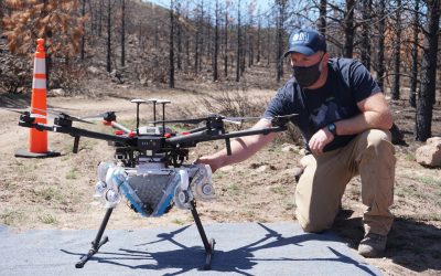 Restoration by Drone: DRI and Partners Test New Method for Reseeding Native Forests after Wildfire