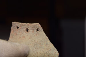 Photo of collected piece of ceramic