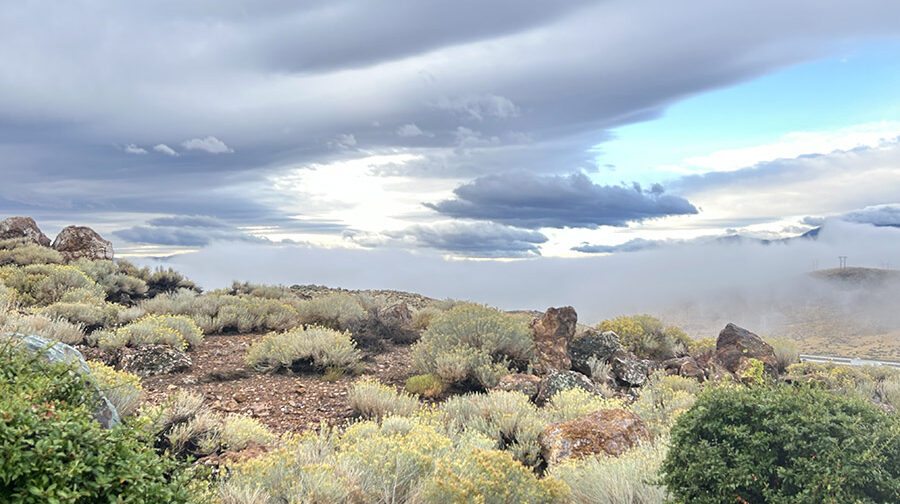 Desert shrubs and wildflowers are visible on the side of a mountain on a cloudy day.