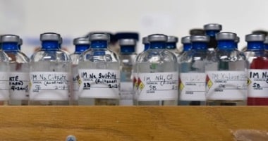 Row of bottles in environmental microbiology lab
