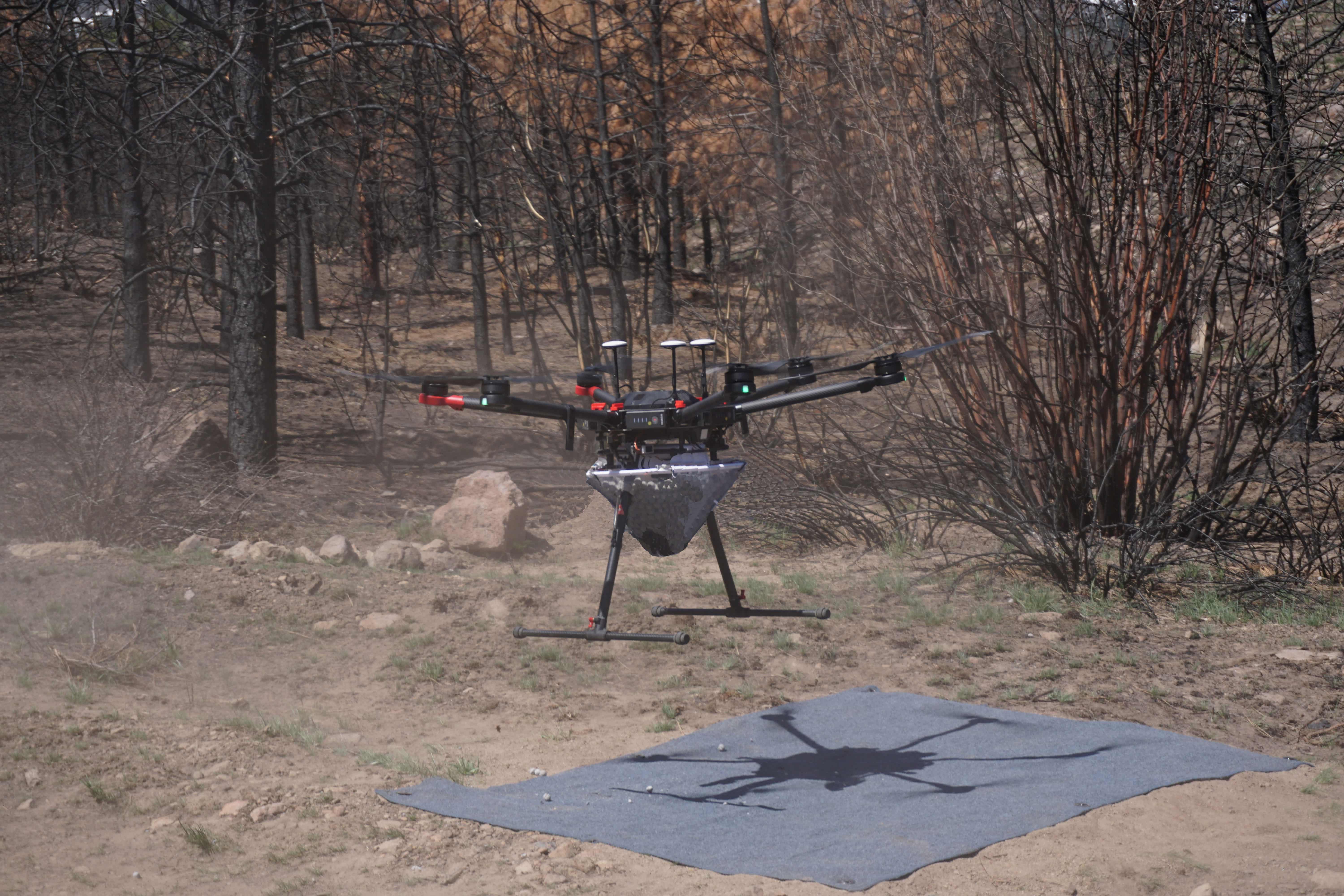 drone landing in burnt forest