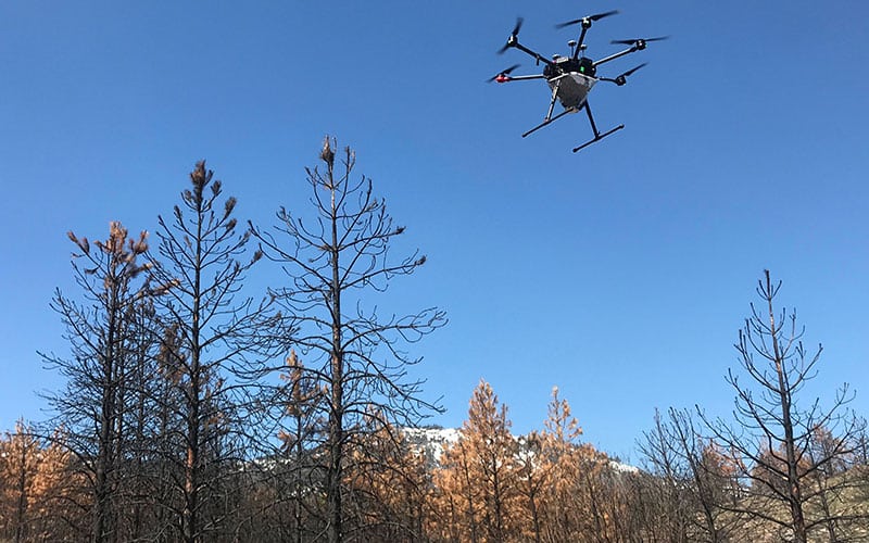 drone flys in the sky with forest trees in the background