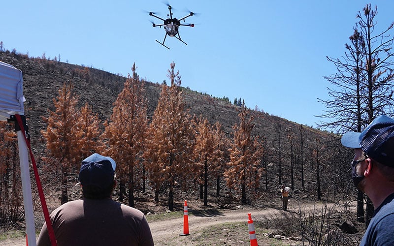 two men fly drone in a burnt forest location