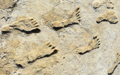 Footprints Claimed as Evidence of Ice Age Humans in North America Need Better Dating, New Research Shows