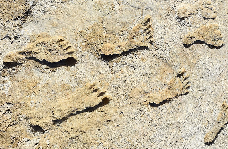 ancient human footprints found in the desert