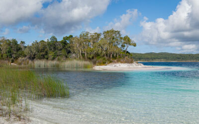 Scientists Uncover Conditions Key to Formation of the Great Barrier Reef