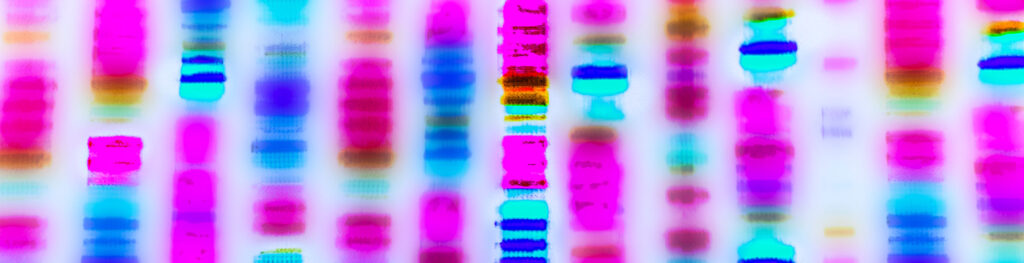 Graphic representation of the DNA sequence