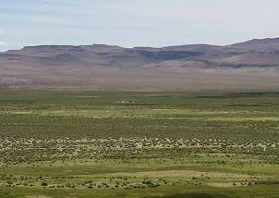 Groundwater Dependent Ecosystem Assessments