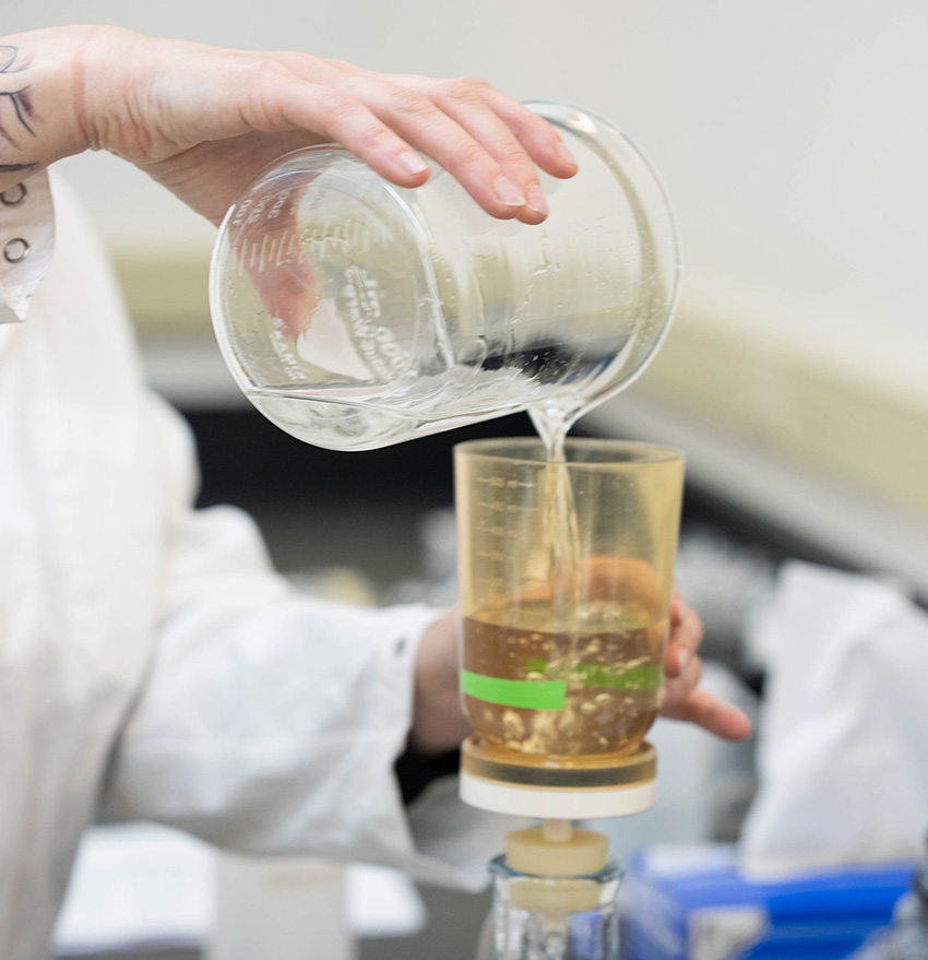 A researcher pours liquid from one beaker into another in a lab.