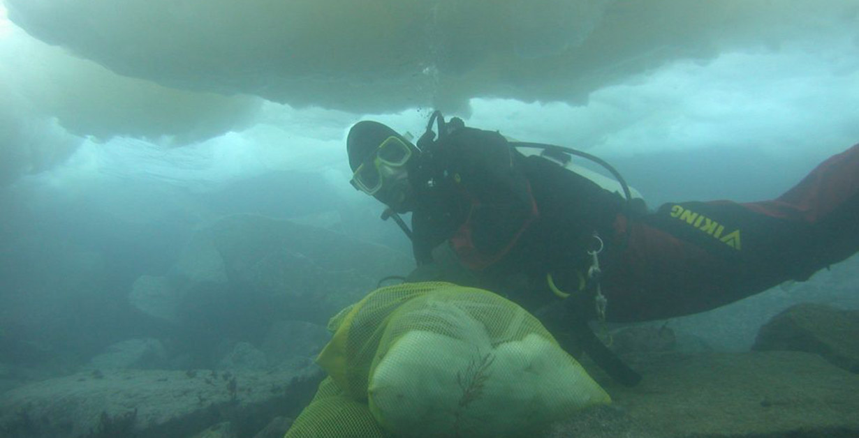 A diver is shown under the water with a mesh bag.