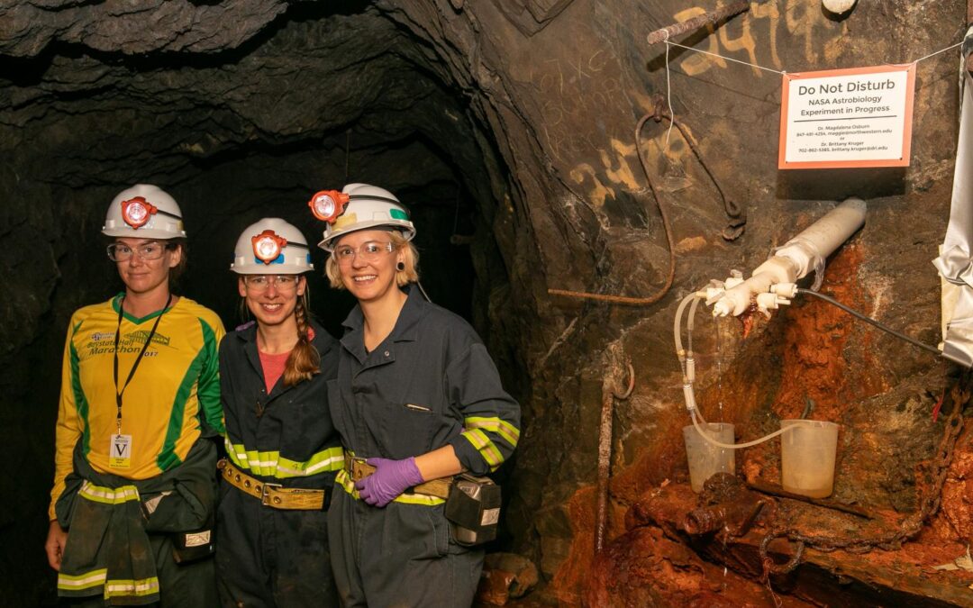New Study Investigates the Distribution of Deep Underground Microbial Life