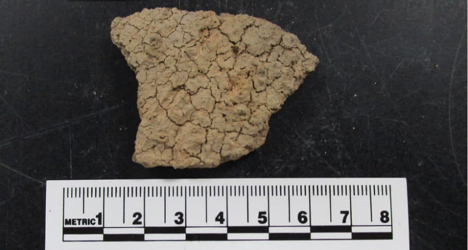 example of a Lower Colorado Buff plain sherd