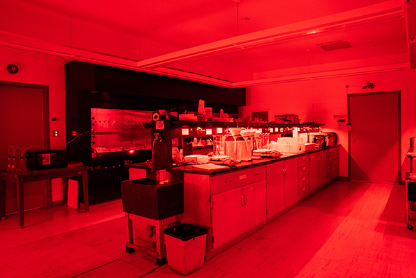 A lab with a center island and equipment on the counter is bathed in a deep red glow. 