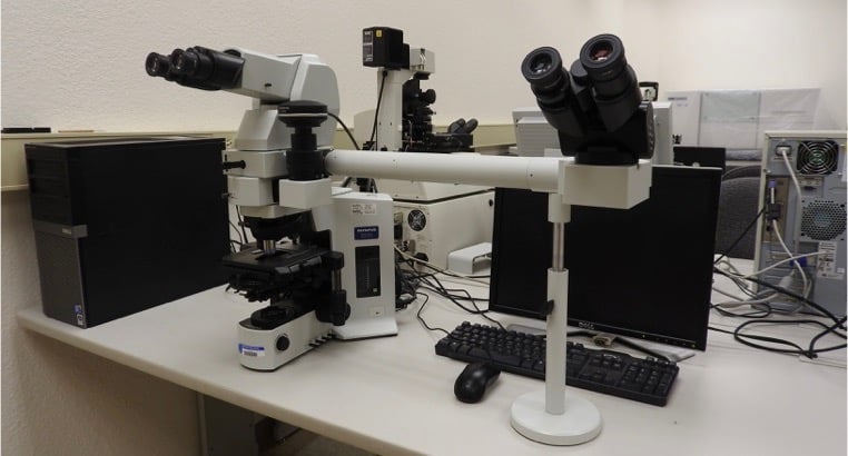 Olympus BX-51 transmitted compound microscope, with side viewing attachment for teaching