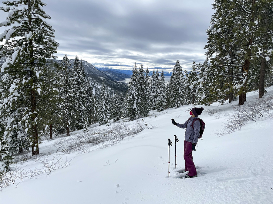A person in snowshoes and hiking poles stops in a clearing on a mountainside of pine trees to take a photo of the snow.