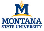 MSU-core-logos-115px 2 Montana State University logo with a large M on a gold arch.