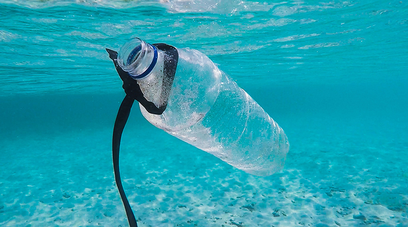 plastic bottle in lake tahoe