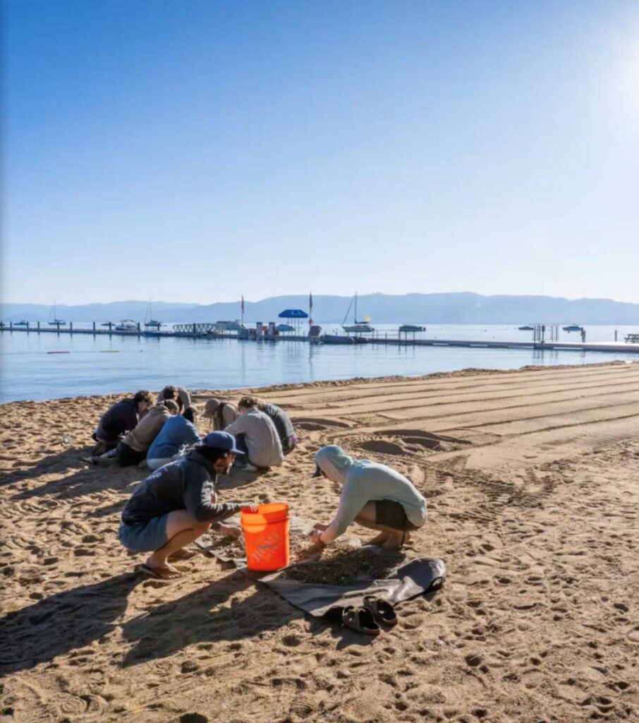 Student researchers sorting through microplastics on the beach.