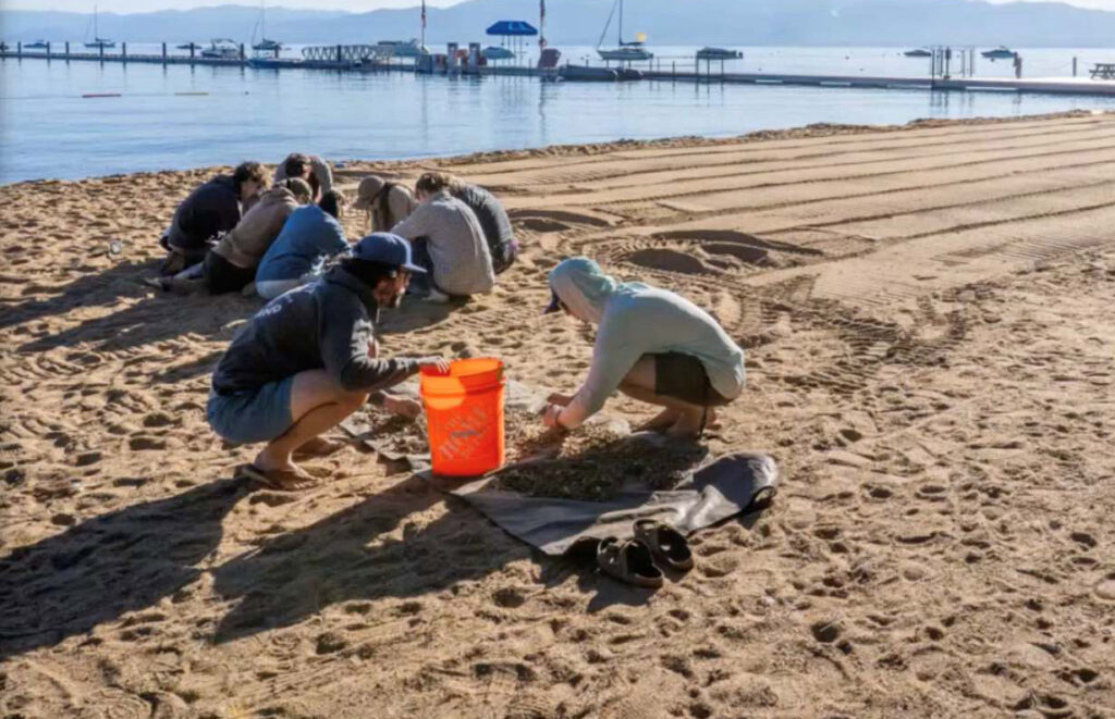 Student researchers sorting through microplastics on the beach.