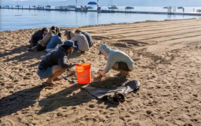 DRI Internships Offer TMCC Students Insight Into Science Careers