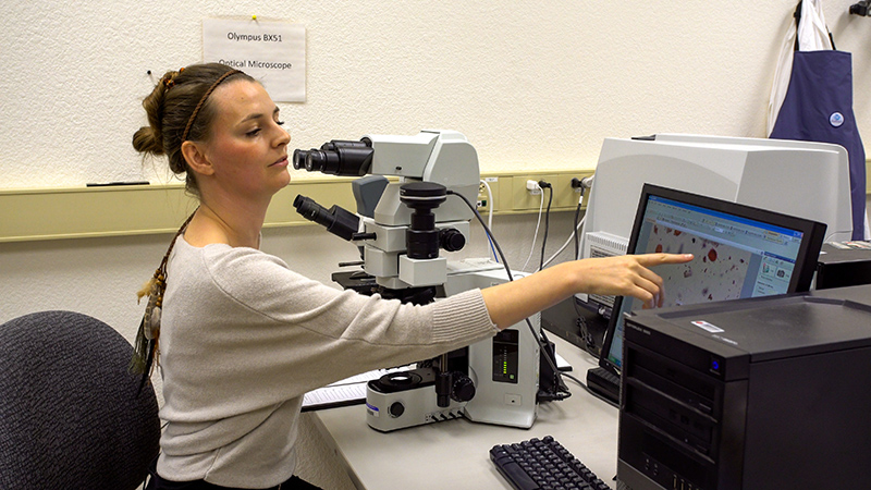 Dr. Brugger examining a sample of pollen under the microscope.