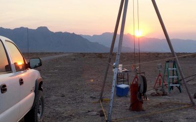 DRI Scientists Contribute to Breakthrough Study on Microbial Evolution