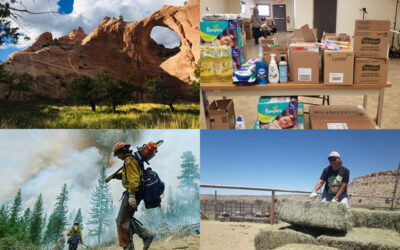 From COVID-19 to Drought: Collaborating on Emerging Challenges Across Indian Country